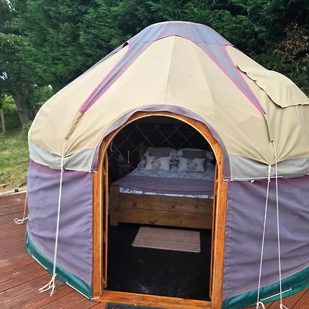 Yurt In The Paddock Luksusowy namiot *